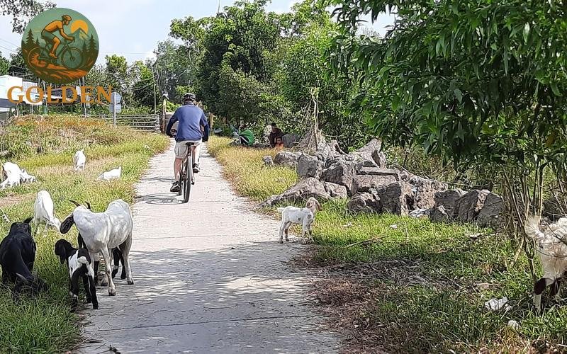 10-Day Biking Ho Chi Minh Trail: Hanoi to Kon Tum & Pleiku Cycling Tour